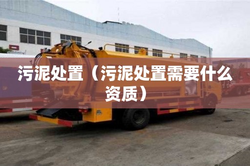 污泥處置（污泥處置需要什么資質）