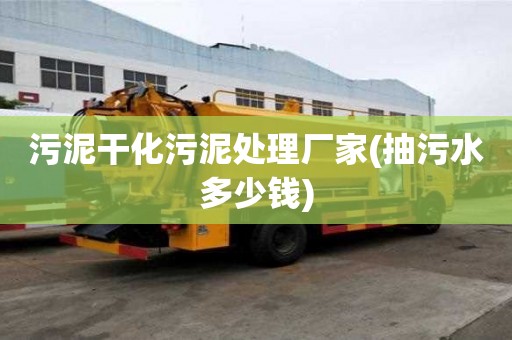 污泥干化污泥處理廠家(抽污水多少錢)