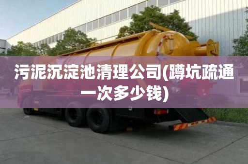 污泥沉淀池清理公司(蹲坑疏通一次多少錢) 污泥沉淀池清理公司(蹲坑疏通一次多少錢)