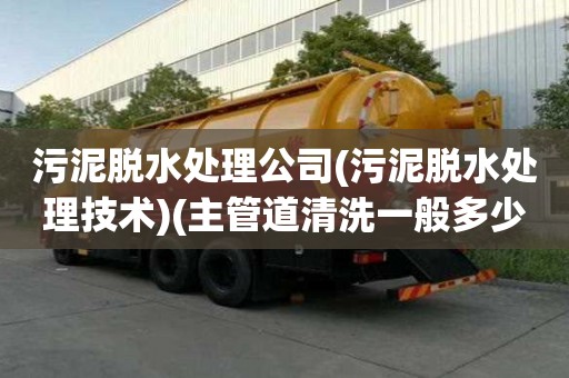 污泥脫水處理公司(污泥脫水處理技術)(主管道清洗一般多少錢)
