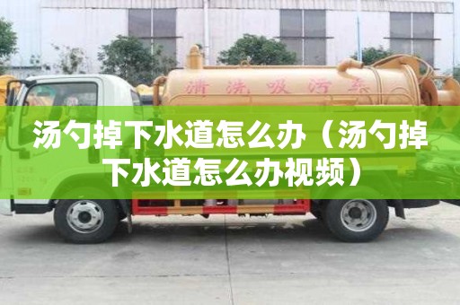 湯勺掉下水道怎么辦（湯勺掉下水道怎么辦視頻）