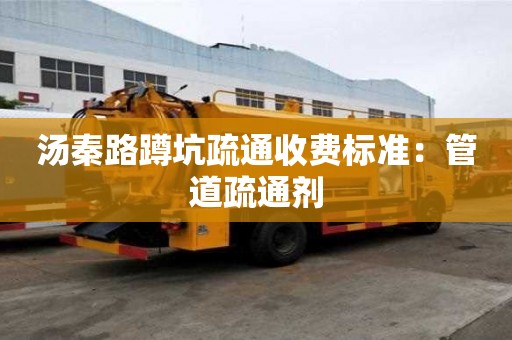 湯秦路蹲坑疏通收費標準：管道疏通劑