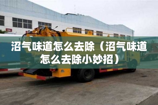 沼氣味道怎么去除（沼氣味道怎么去除小妙招）