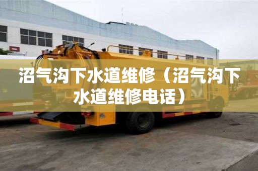 沼氣溝下水道維修（沼氣溝下水道維修電話）