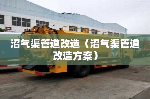 沼氣渠管道改造（沼氣渠管道改造方案）