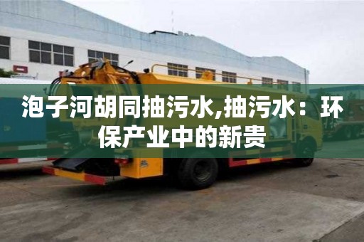 泡子河胡同抽污水,抽污水：環保產業中的新貴