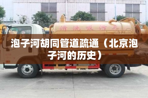 泡子河胡同管道疏通（北京泡子河的歷史）
