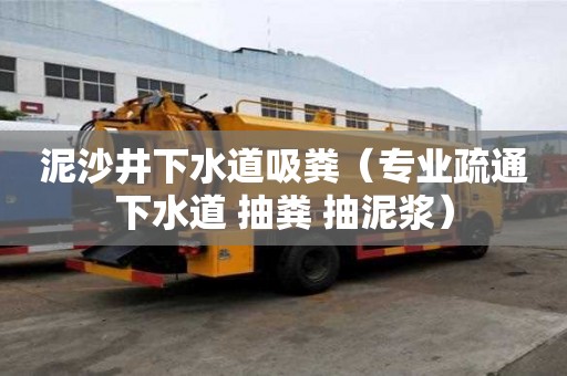 泥沙井下水道吸糞（專業(yè)疏通下水道 抽糞 抽泥漿）