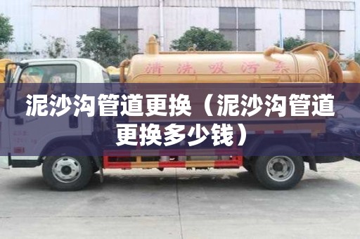 泥沙溝管道更換（泥沙溝管道更換多少錢）