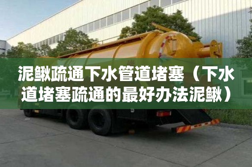 泥鰍疏通下水管道堵塞（下水道堵塞疏通的最好辦法泥鰍）