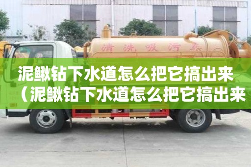 泥鰍鉆下水道怎么把它搞出來（泥鰍鉆下水道怎么把它搞出來視頻）
