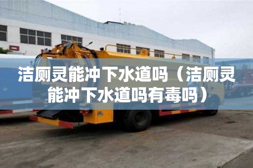 潔廁靈能沖下水道嗎（潔廁靈能沖下水道嗎有毒嗎）
