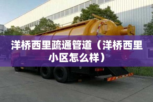 洋橋西里疏通管道（洋橋西里小區(qū)怎么樣）