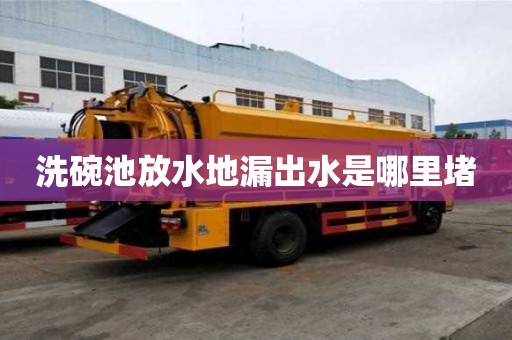洗碗池放水地漏出水是哪里堵