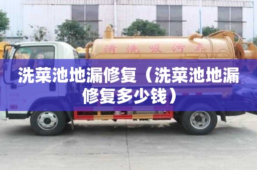 洗菜池地漏修復（洗菜池地漏修復多少錢）