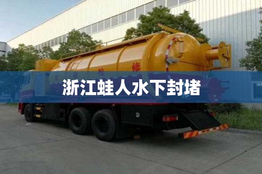 浙江蛙人水下封堵