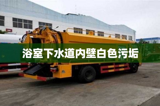 浴室下水道內壁白色污垢