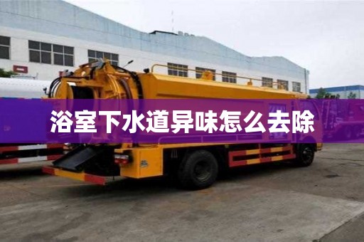 浴室下水道異味怎么去除