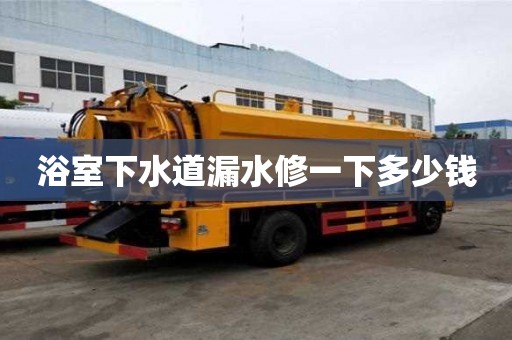 浴室下水道漏水修一下多少錢