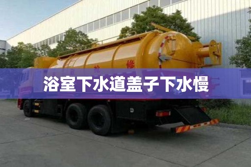 浴室下水道蓋子下水慢