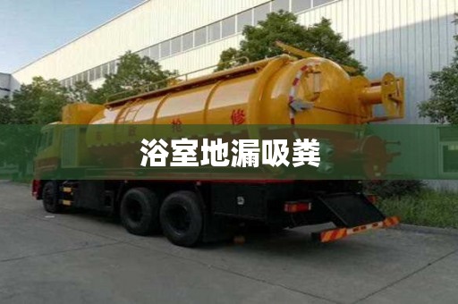 浴室地漏吸糞