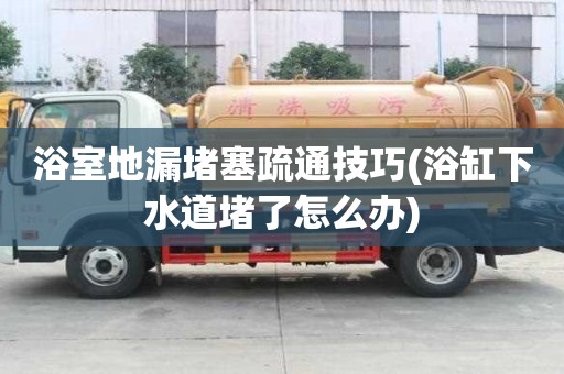 浴室地漏堵塞疏通技巧(浴缸下水道堵了怎么辦)