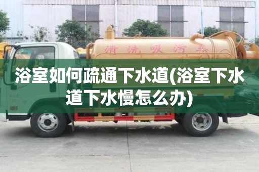 浴室如何疏通下水道(浴室下水道下水慢怎么辦)