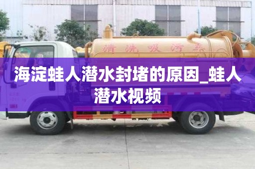 海淀蛙人潛水封堵的原因_蛙人潛水視頻