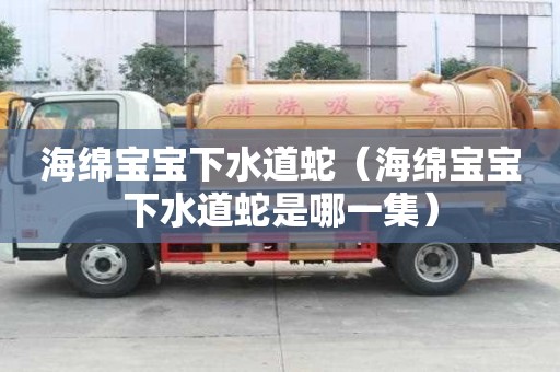 海綿寶寶下水道蛇（海綿寶寶下水道蛇是哪一集）
