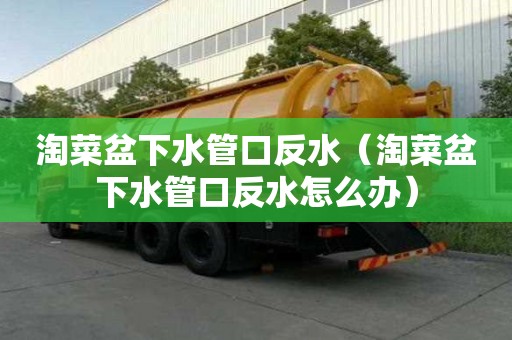 淘菜盆下水管口反水（淘菜盆下水管口反水怎么辦）