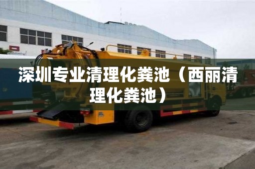 深圳專業清理化糞池（西麗清理化糞池）