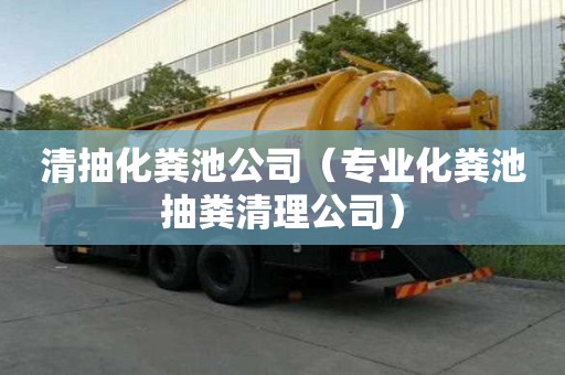清抽化糞池公司（專業化糞池抽糞清理公司）