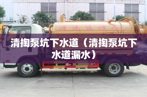 清掏泵坑下水道（清掏泵坑下水道漏水）