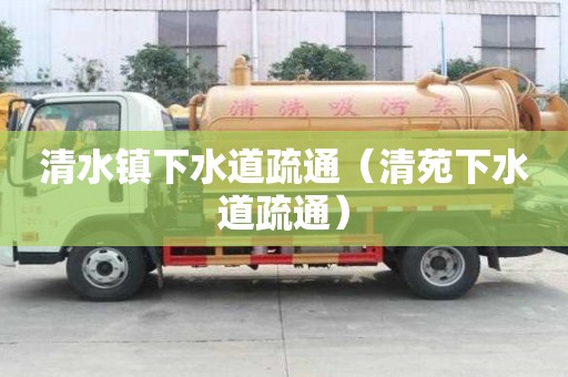 清水鎮下水道疏通（清苑下水道疏通）