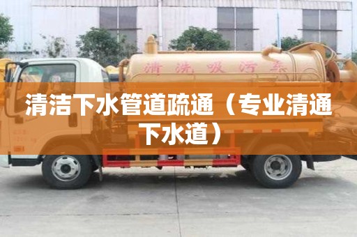 清潔下水管道疏通（專業清通下水道）