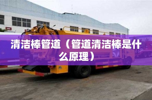 清潔棒管道（管道清潔棒是什么原理）