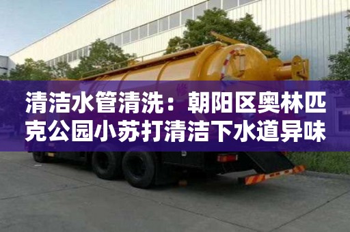 清潔水管清洗：朝陽區奧林匹克公園小蘇打清潔下水道異味