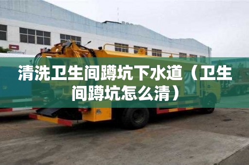 清洗衛生間蹲坑下水道（衛生間蹲坑怎么清）