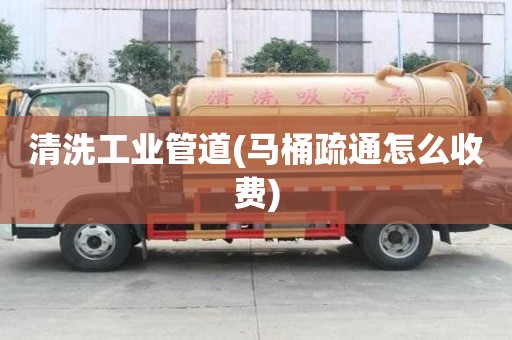 清洗工業(yè)管道(馬桶疏通怎么收費)