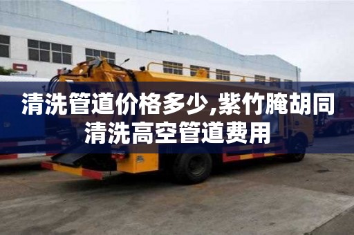 清洗管道價格多少,紫竹腌胡同清洗高空管道費用