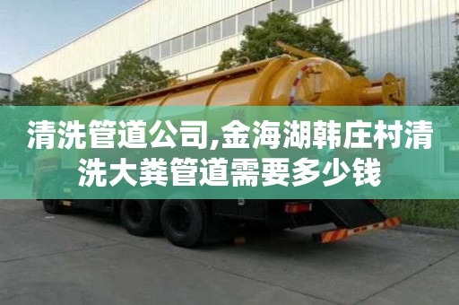 清洗管道公司,金海湖韓莊村清洗大糞管道需要多少錢