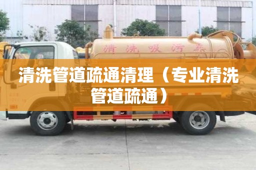 清洗管道疏通清理（專業清洗管道疏通）