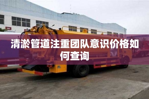 清淤管道注重團隊意識價格如何查詢