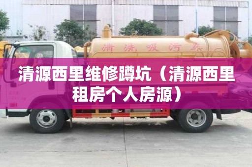 清源西里維修蹲坑（清源西里租房個人房源）