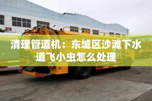 清理管道機：東城區沙灘下水道飛小蟲怎么處理