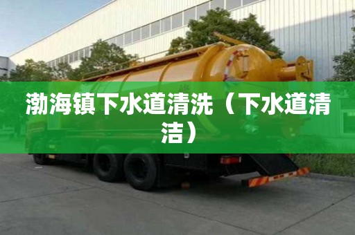 渤海鎮(zhèn)下水道清洗（下水道清潔）