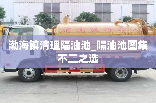 渤海鎮(zhèn)清理隔油池_隔油池圖集不二之選
