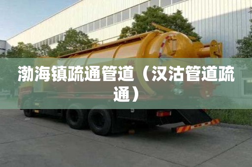 渤海鎮(zhèn)疏通管道（漢沽管道疏通）