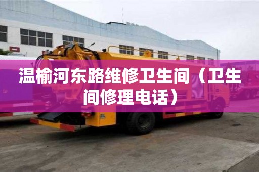 溫榆河?xùn)|路維修衛(wèi)生間（衛(wèi)生間修理電話(huà)）