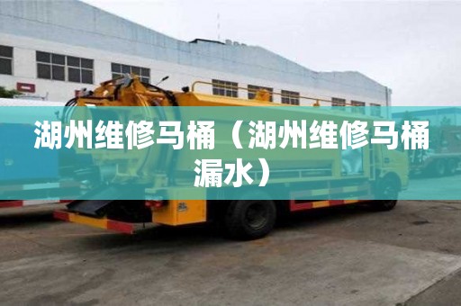 湖州維修馬桶（湖州維修馬桶漏水）